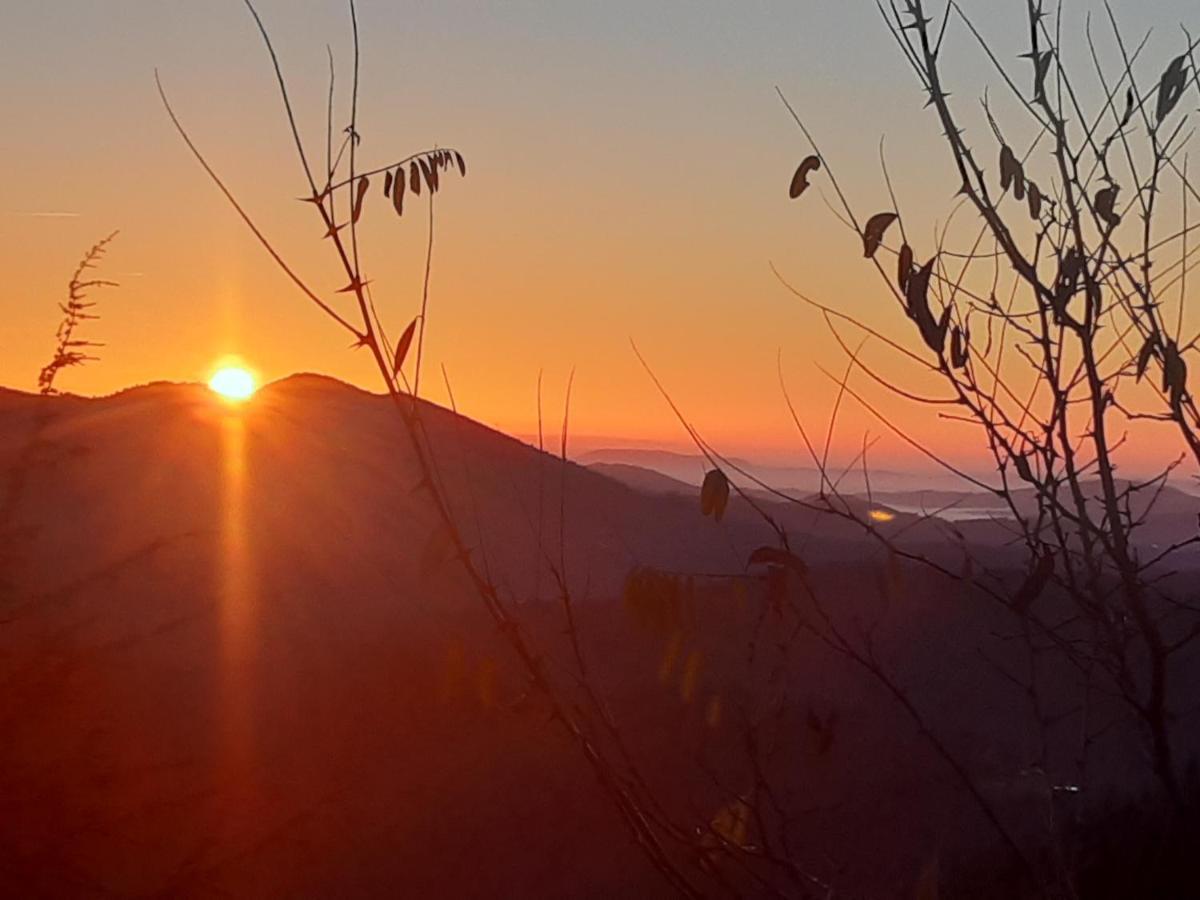 Gite L'Or Des Cevennes Saint-Andre-Capceze المظهر الخارجي الصورة