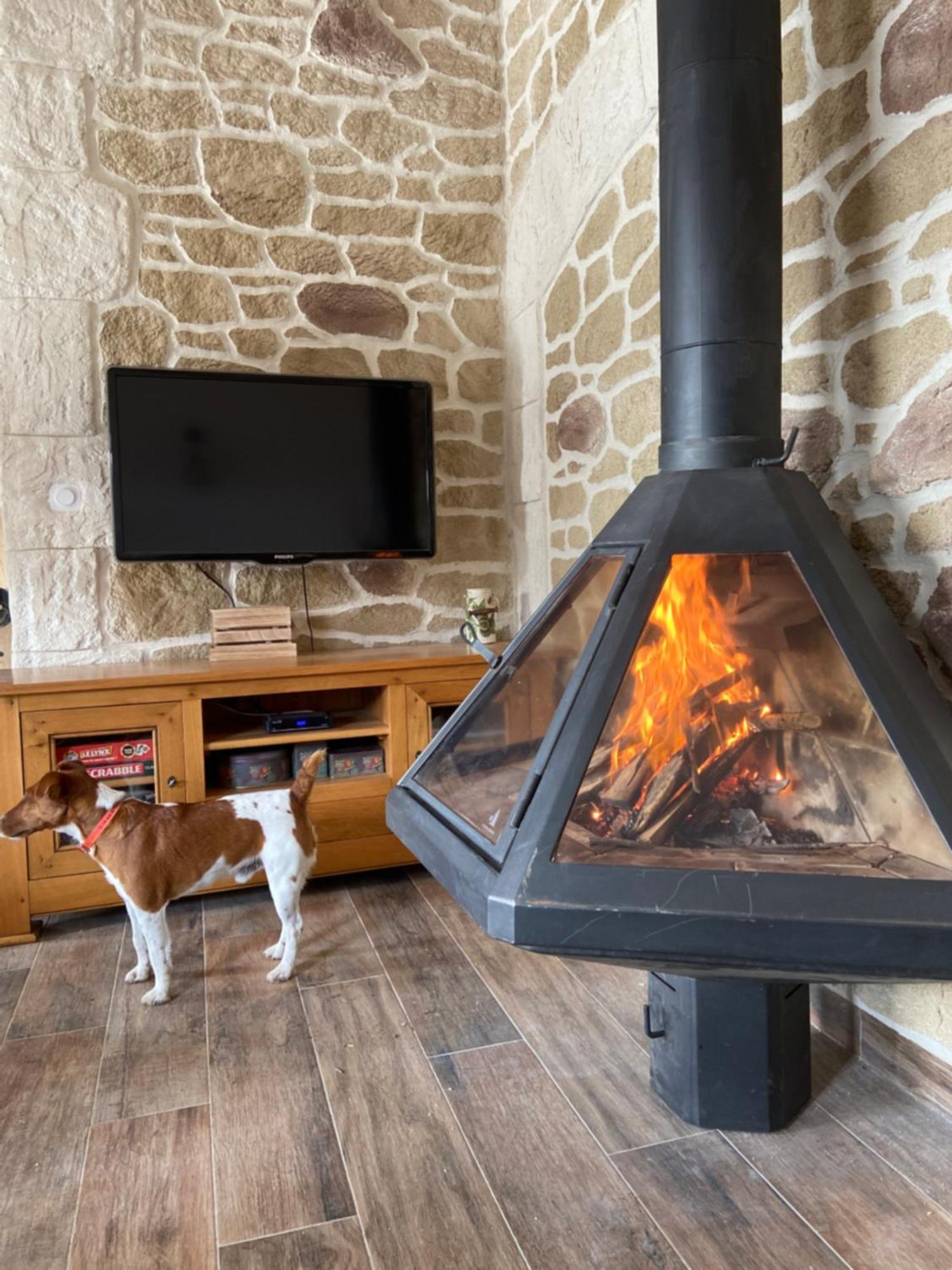 Gite L'Or Des Cevennes Saint-Andre-Capceze المظهر الخارجي الصورة